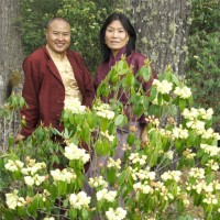 Barba Tulku Rimpoche and Sangay Tshoki on a rhododendrun-viewing excursion near Paro. © Pat Morrow