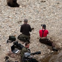 Camera crew, grizzly bears, salmon