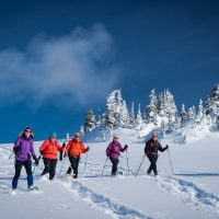 Snowshoe adventure led by guide Andrea Petzold at Purcell Mountain Lodge, northern Purcells, near Golden, BC