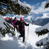 Snowshoe adventure led by guide Andrea Petzold at Purcell Mountain Lodge, northern Purcells, near Golden, BC