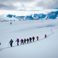 Upper Beaver river valley and Selkirks behiund Snowshoe adventure led by guide Andrea Petzold at Purcell Mountain Lodge, northern Purcells, near Golden, BC