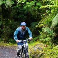 Mike Browne rides Weheka access trail along Fox river from Fox Glacier village, Tai Poutini National Park, New Zealand