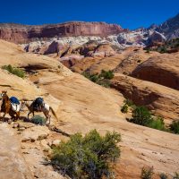 Horsepacking trip into canyon system at foot of Navajo mountain with Eli Neztsosie