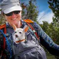 Hike up Pinto mountain with Andrea Petzold, Carole Rualt, Ray Feuz, Laurie Klassen, Laurie Rualt, Baiba, Annabelle, Rosie and Milo the dogs.
