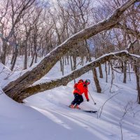 Sandy Millar, Meat Cove mountain, Cape North, Cape Breton Island, Nova Scotia adventure ski shoot for Ski Canada magazine.