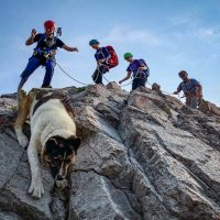 Kain Teens day 1 of climbing camp, Pedley Pass, Rockies, guide Tim McAllister, Snowpatch the dog, Virginia Denchuk, Cameron Hofer, Anika Rievaj, Rockies, B C